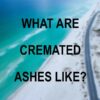 what does imposition of ashes mean