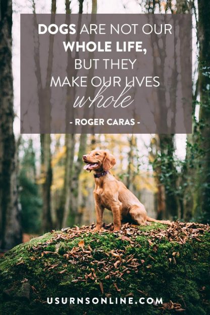 Pet Loss Quotes, Poems & More to Honor Your Furry Friend » Urns | Online