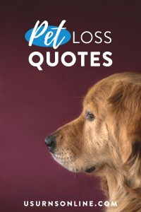 Pet Loss Quotes, Poems & More to Honor Your Furry Friend » US Urns Online