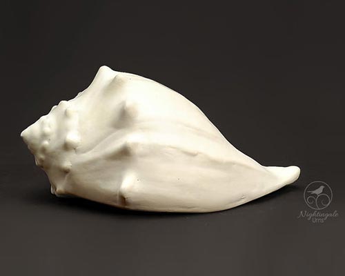 Seashell Keepsake Cremation Urn