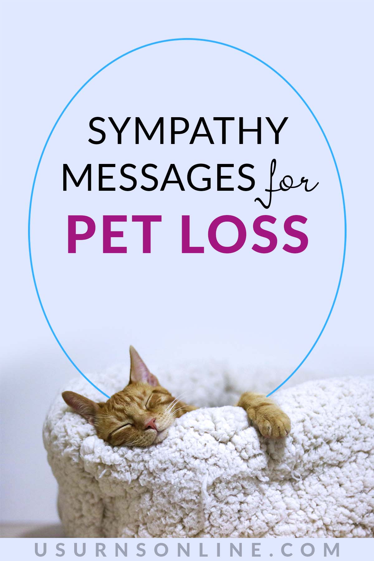 50 Heartwarming Sympathy Messages For Loss Of Pet Urns Online