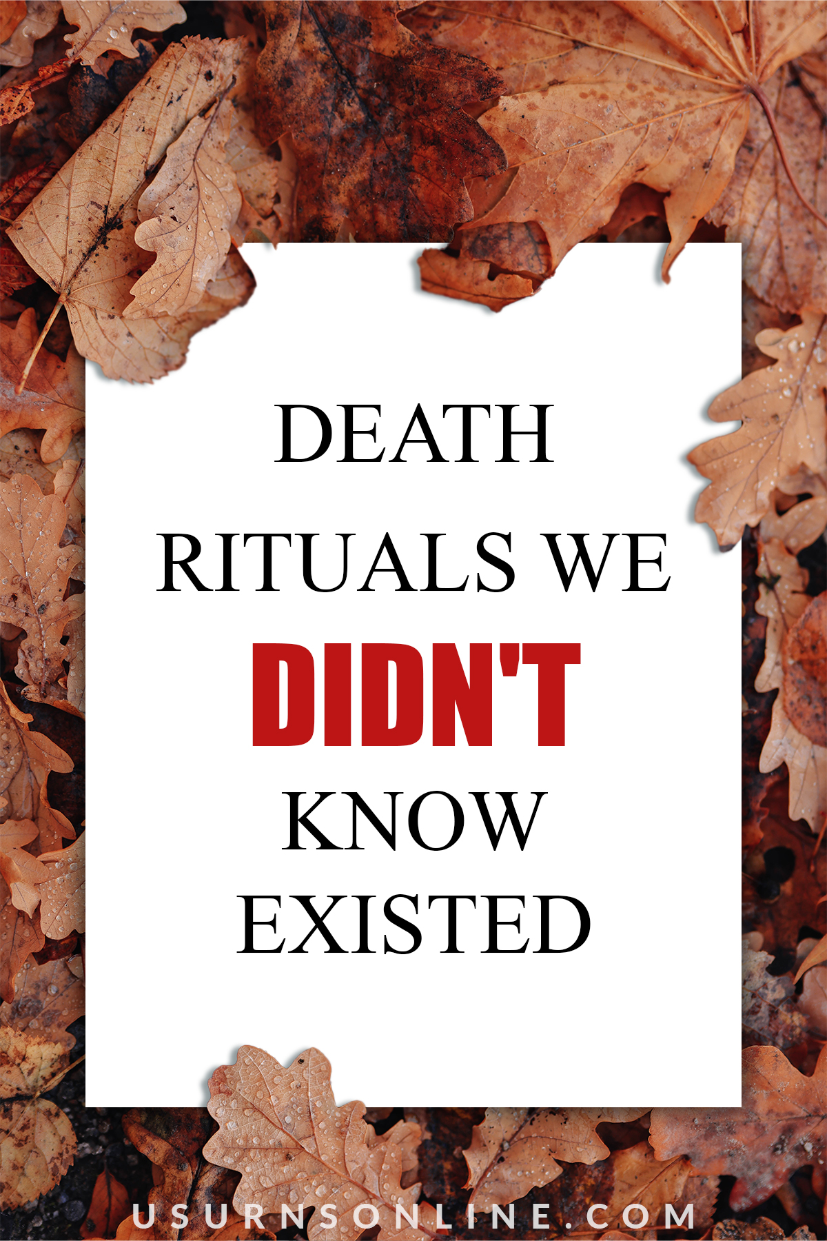 Interesting Death Rituals Around The World